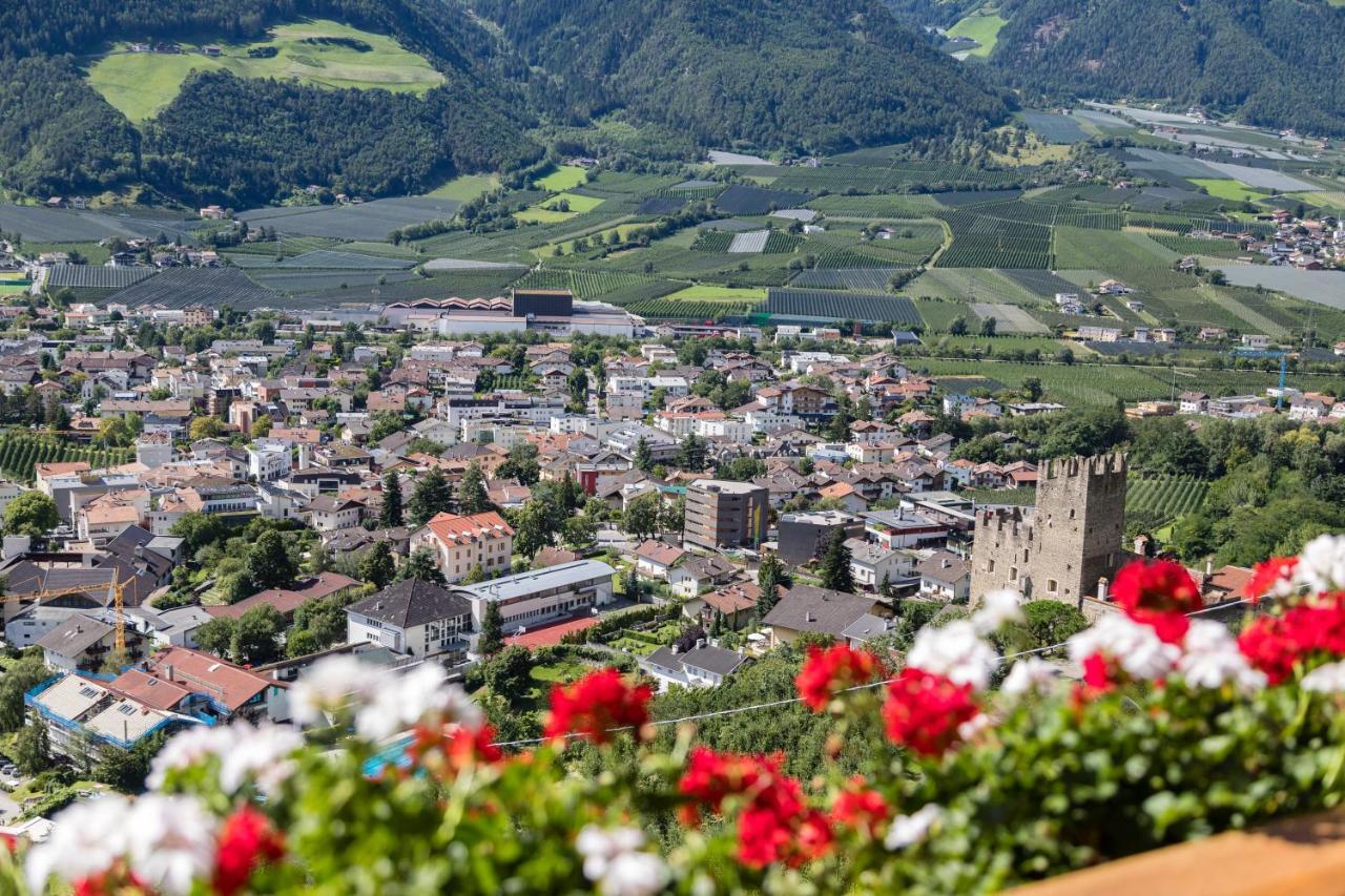 Gasthof Falkenstein นาตูร์โน ภายนอก รูปภาพ